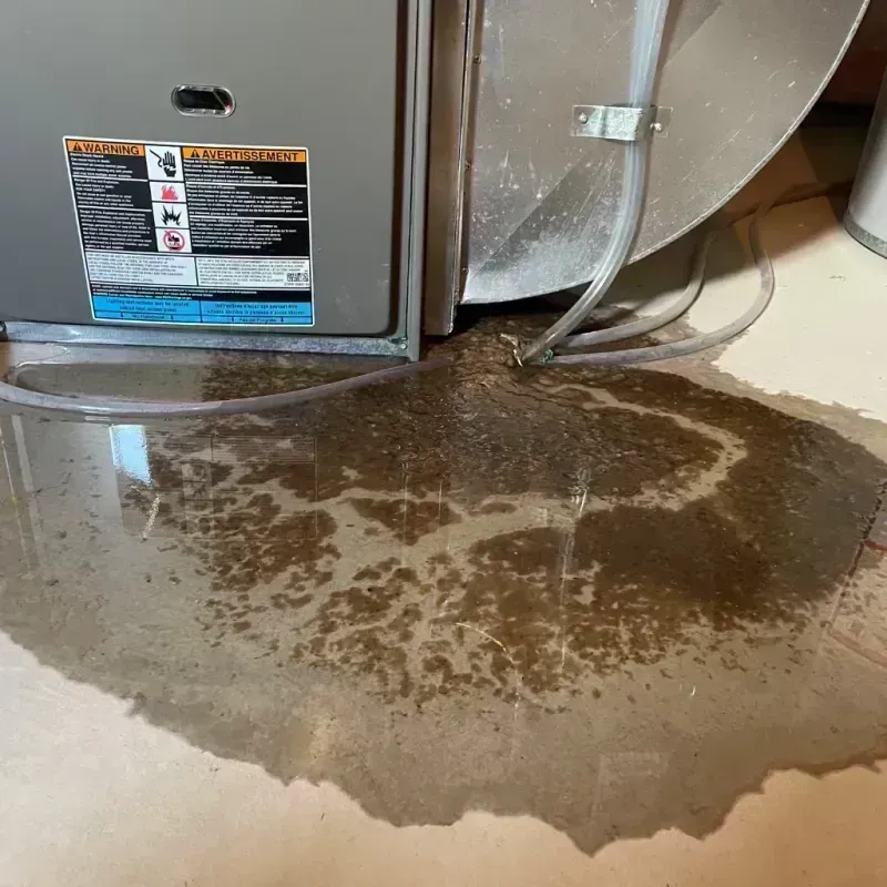 Appliance Leak Cleanup in Pleasant Hill, MO